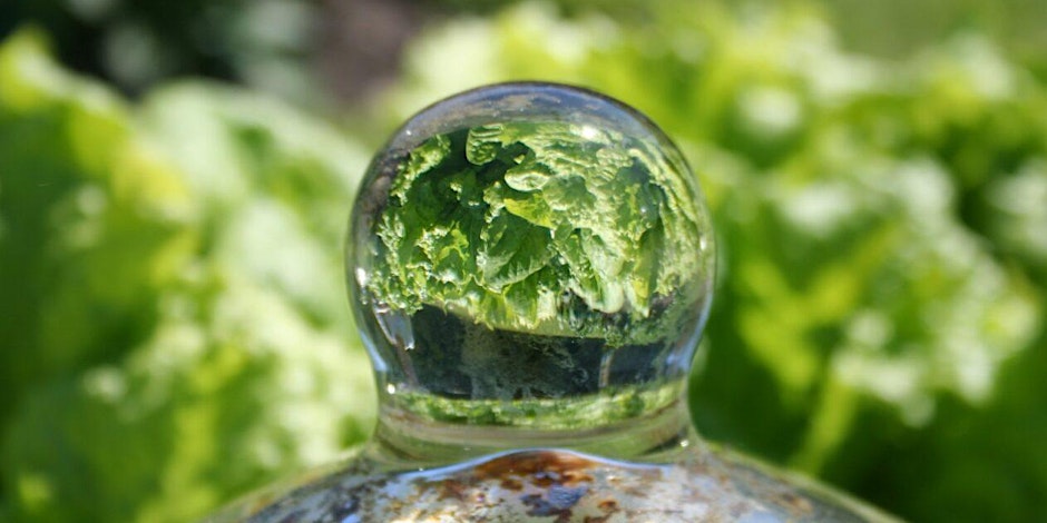 https—cdn.evbuc.com-images-692054109-267879320400-1-original.20240207-152236 An upside down water droplet dripping upwards from a metal ball, reflecting the greenery behind it.