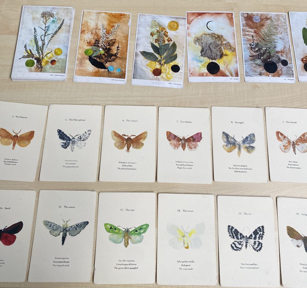 Photograph of a deck of tarot cards with images of nature, such as different butterflies and foliage.