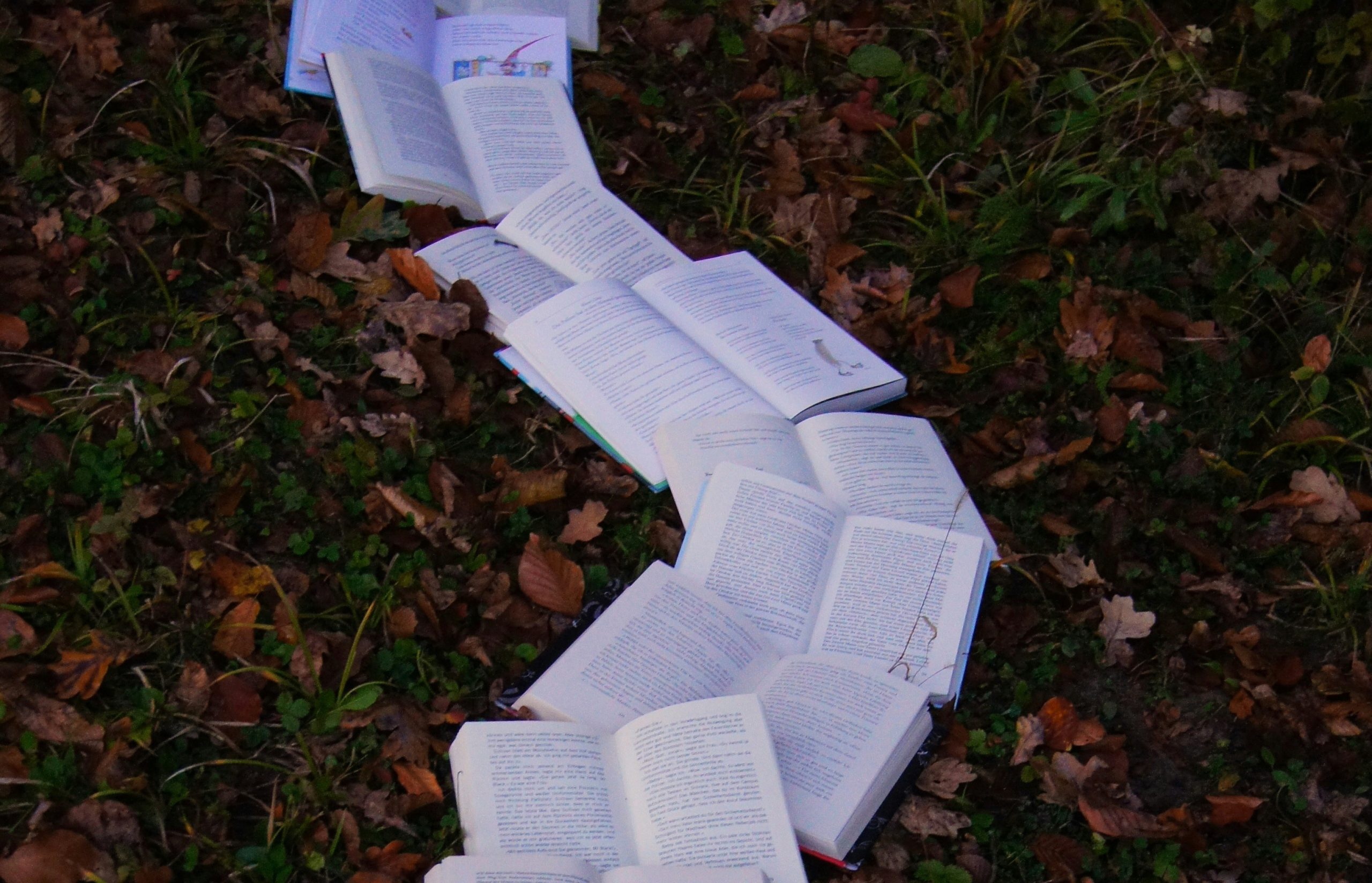 laura-kapfer-hmCMUZKLxa4-unsplash Photograph of a curving line of books arranged on a ground covered with leaves.