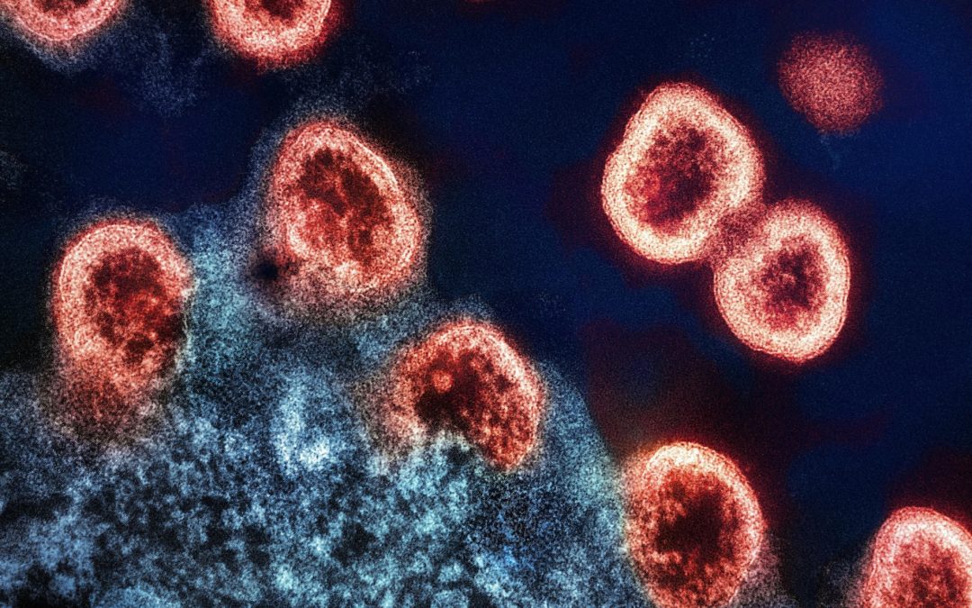 Epidemiology without stats? HIV/AIDS and the ascent of epidemic modelling
