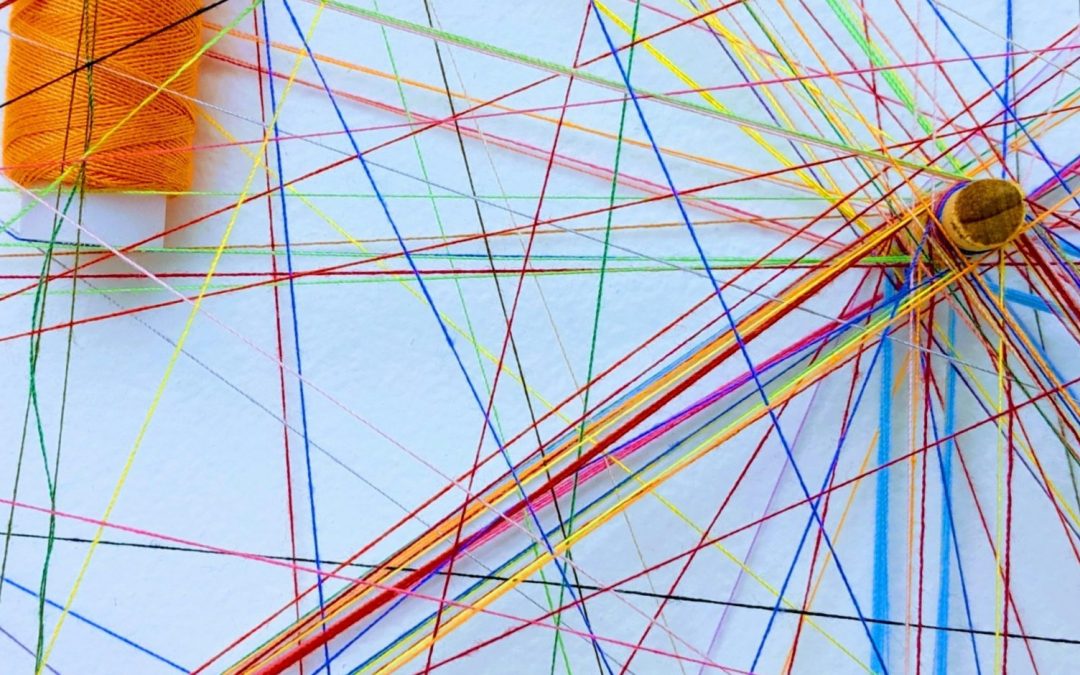 Medical Humanities in Practice: Celebrating the 2025–26 Fellows